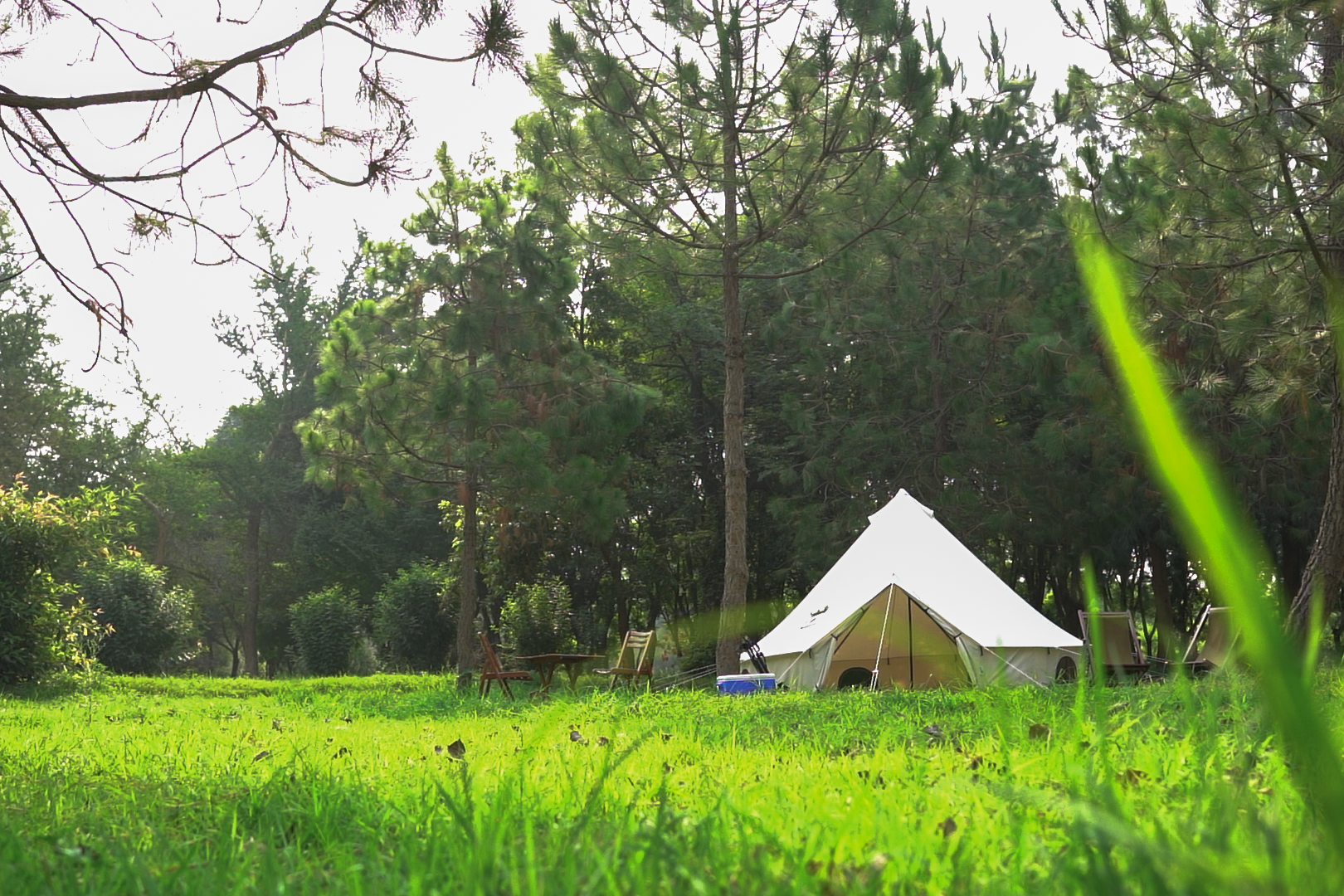 Bell tent front 